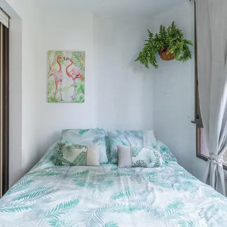 Apartment Mariscal *